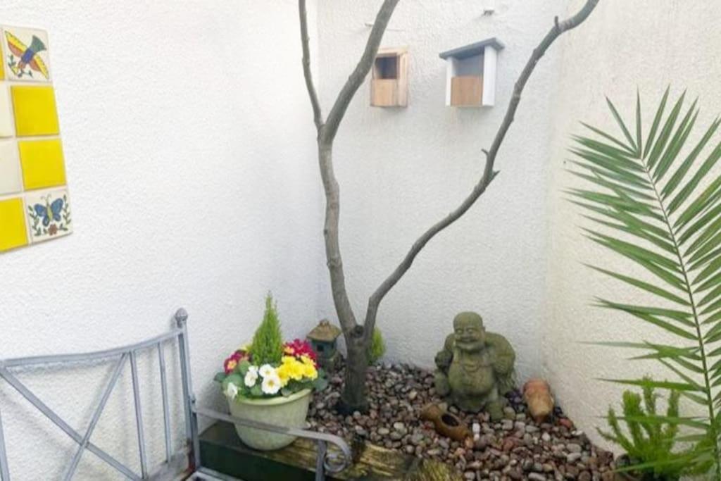 A Charming Cottage Set In Bridgetown Totnes. Dean  외부 사진